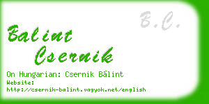balint csernik business card